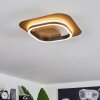 Valduge Plafoniera LED Oro, Nero, 1-Luce