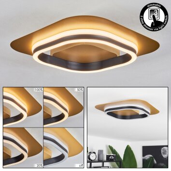 Valduge Plafoniera LED Oro, Nero, 1-Luce