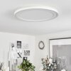 Audrieu Plafoniera LED Bianco, 2-Luci