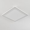 Audrieu Plafoniera LED Bianco, 2-Luci