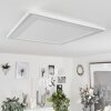 Audrieu Plafoniera LED Bianco, 2-Luci