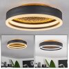 Guine Plafoniera LED Oro, Nero, 1-Luce