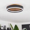 Guine Plafoniera LED Oro, Nero, 1-Luce