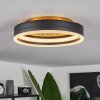 Guine Plafoniera LED Oro, Nero, 1-Luce