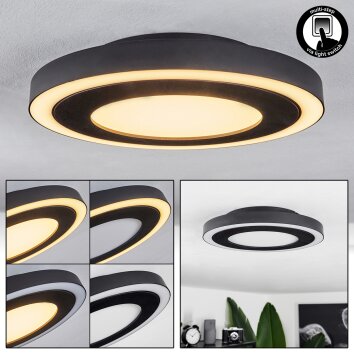 Audrieu Plafoniera LED Nero, Bianco, 2-Luci