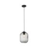 Paul Neuhaus SHITAKE Lampada a Sospensione Nero, 1-Luce