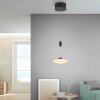 Paul Neuhaus LAUTADA Lampada a Sospensione LED Nero, 1-Luce