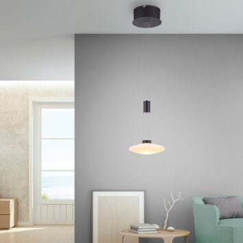 Paul Neuhaus LAUTADA Lampada a Sospensione LED Nero, 1-Luce