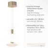 Paul Neuhaus LAUTADA Lampada a Sospensione LED Ottone, 1-Luce