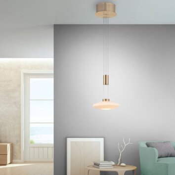 Paul Neuhaus LAUTADA Lampada a Sospensione LED Ottone, 1-Luce