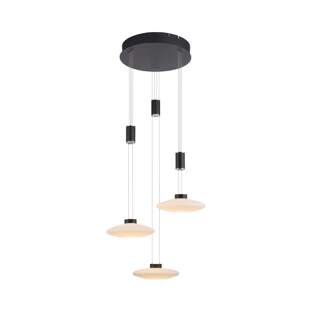 Paul Neuhaus LAUTADA Lampada a Sospensione LED Nero, 3-Luci