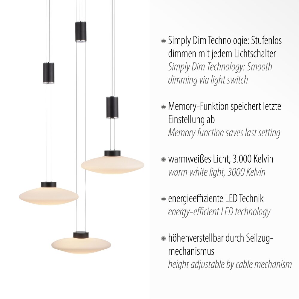 Paul Neuhaus LAUTADA Lampada a Sospensione LED Nero, 3-Luci