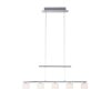 Paul Neuhaus HYDRA Lampada a Sospensione LED Acciaio satinato, 5-Luci