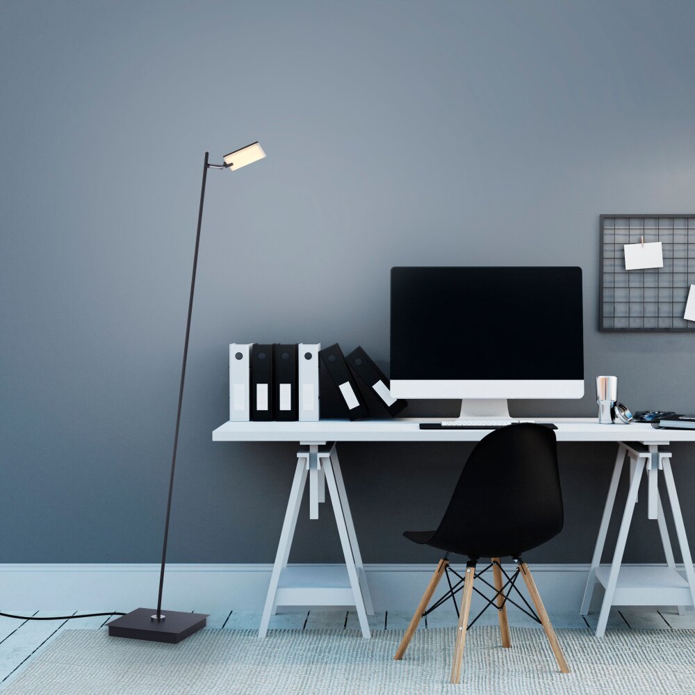 Paul Neuhaus PURE-MIRA Lampada da terra LED Nero, 1-Luce, Telecomando main product photo