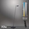 Paul Neuhaus PURE-MIRA Lampada da terra LED Nero, 1-Luce, Telecomando