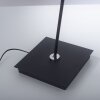 Paul Neuhaus PURE-MIRA Lampada da terra LED Nero, 1-Luce, Telecomando