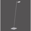 Paul Neuhaus PURE-MIRA Lampada da terra LED Alluminio, 1-Luce, Telecomando