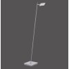 Paul Neuhaus PURE-MIRA Lampada da terra LED Alluminio, 1-Luce, Telecomando