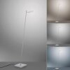 Paul Neuhaus PURE-MIRA Lampada da terra LED Alluminio, 1-Luce, Telecomando