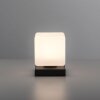 Paul Neuhaus DADOA Lampada da tavolo LED Antracite, 1-Luce