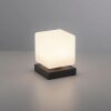 Paul Neuhaus DADOA Lampada da tavolo LED Antracite, 1-Luce