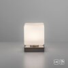 Paul Neuhaus DADOA Lampada da tavolo LED Acciaio satinato, 1-Luce