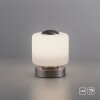 Paul Neuhaus BOTA Lampada da tavolo LED Acciaio satinato, 1-Luce
