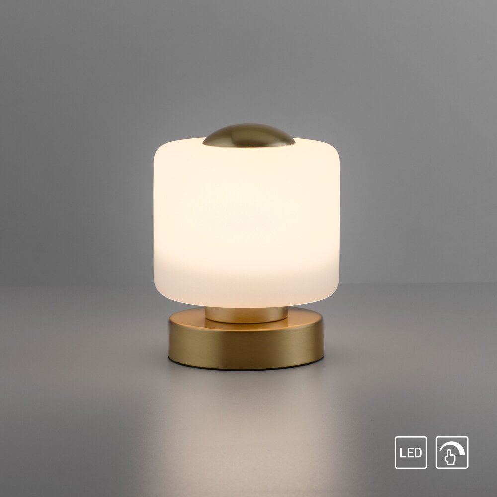 Paul Neuhaus BOTA Lampada da tavolo LED Ottone, 1-Luce