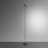 Paul Neuhaus PURE-TUTUA Lampada da terra LED Nero, 1-Luce