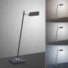 Paul Neuhaus PURE-MIRA Lampada da tavolo LED Nero, 1-Luce, Telecomando