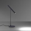 Paul Neuhaus PURE-TUTUA Lampada da tavolo LED Nero, 1-Luce