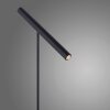 Paul Neuhaus PURE-TUTUA Lampada da tavolo LED Nero, 1-Luce