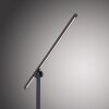 Paul Neuhaus PURE-GRAFO Lampada da tavolo LED Nero, 1-Luce