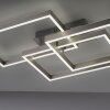 Paul Neuhaus PAAN Plafoniera LED Acciaio satinato, 1-Luce, Telecomando