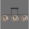 Paul Neuhaus LOOP Plafoniera LED Ottone, Nero, 3-Luci, Telecomando