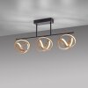 Paul Neuhaus LOOP Plafoniera LED Ottone, Nero, 3-Luci, Telecomando