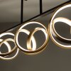 Paul Neuhaus LOOP Plafoniera LED Ottone, Nero, 3-Luci, Telecomando