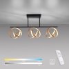 Paul Neuhaus LOOP Plafoniera LED Ottone, Nero, 3-Luci, Telecomando