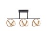 Paul Neuhaus LOOP Plafoniera LED Ottone, Nero, 3-Luci, Telecomando