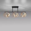 Paul Neuhaus LOOP Plafoniera LED Ottone, Nero, 3-Luci, Telecomando