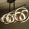 Paul Neuhaus LOOP Plafoniera LED Ottone, Nero, 3-Luci, Telecomando