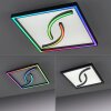 Paul Neuhaus SERPENT Plafoniera LED Nero, 1-Luce, Telecomando, Cambia colore