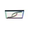 Paul Neuhaus SERPENT Plafoniera LED Nero, 1-Luce, Telecomando, Cambia colore