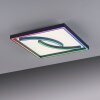 Paul Neuhaus SERPENT Plafoniera LED Nero, 1-Luce, Telecomando, Cambia colore