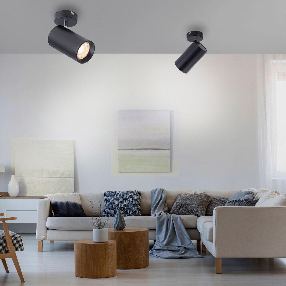 Paul Neuhaus PURE-TECHNIK Plafoniera LED Nero, 1-Luce main product photo