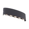 Paul Neuhaus CARLO Applique LED Antracite, 10-Luci