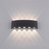 Paul Neuhaus CARLO Applique LED Antracite, 10-Luci