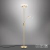 Leuchten-Direkt ZAHARA Piantana LED Ottone, 2-Luci