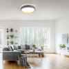 Leuchten-Direkt EMILIA Plafoniera LED Grigio, Écru, 1-Luce