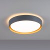 Leuchten-Direkt EMILIA Plafoniera LED Grigio, Écru, 1-Luce